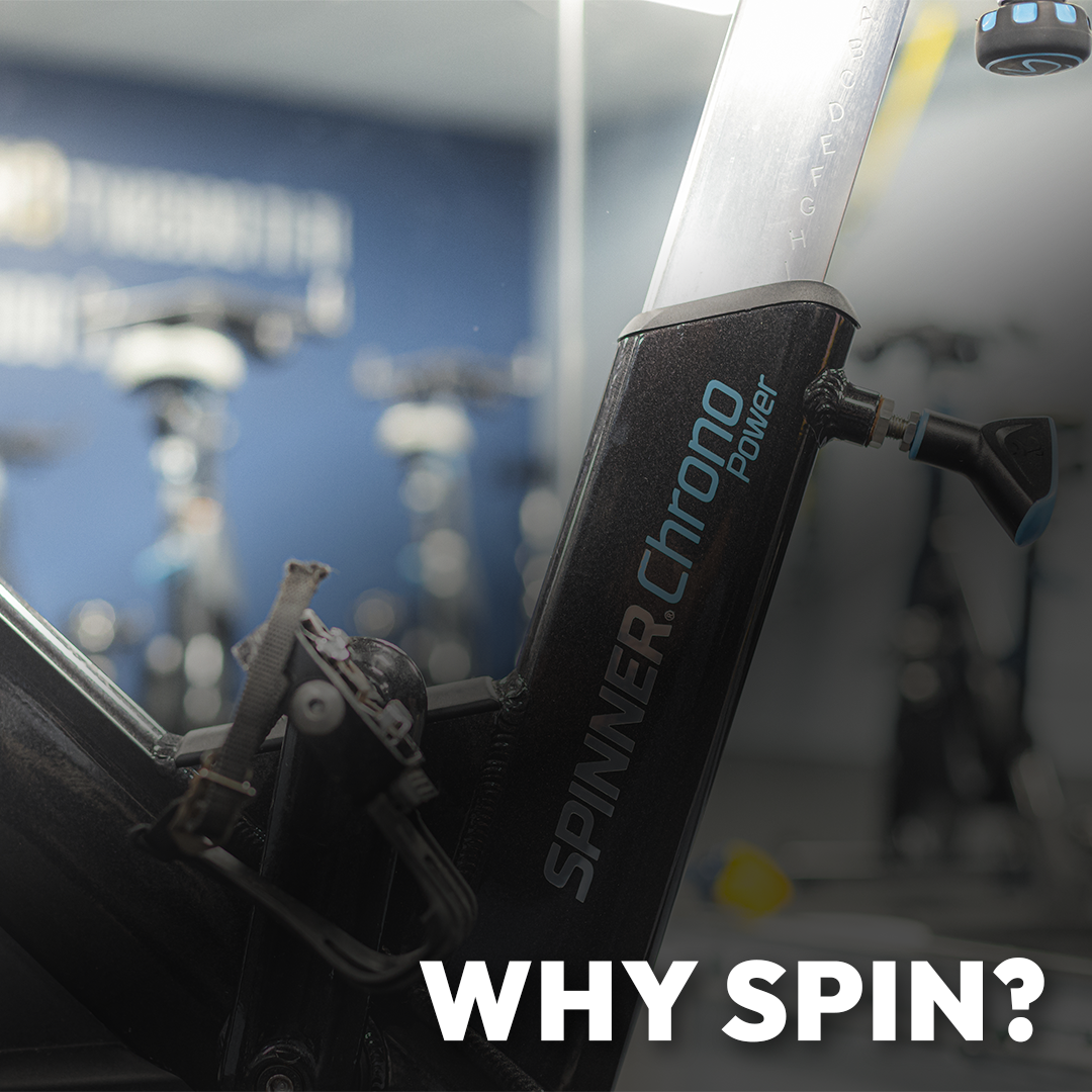 Why Spin?